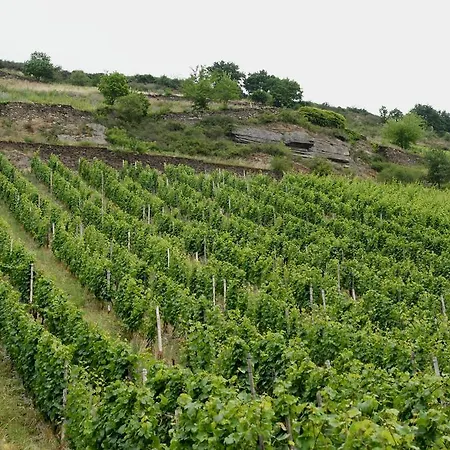 Bistro Rene Bacharach