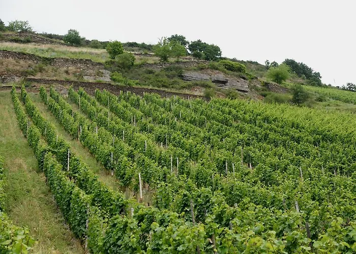 Bistro Rene Bacharach